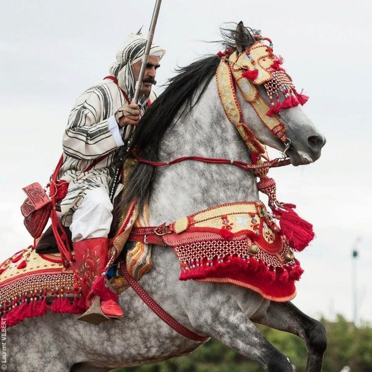 c4056b8d116cc000a25477d923007ad5